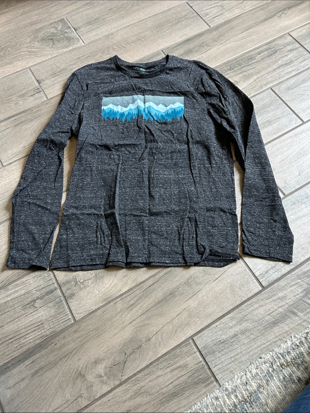 dip gray Heather Tee with blue Logo